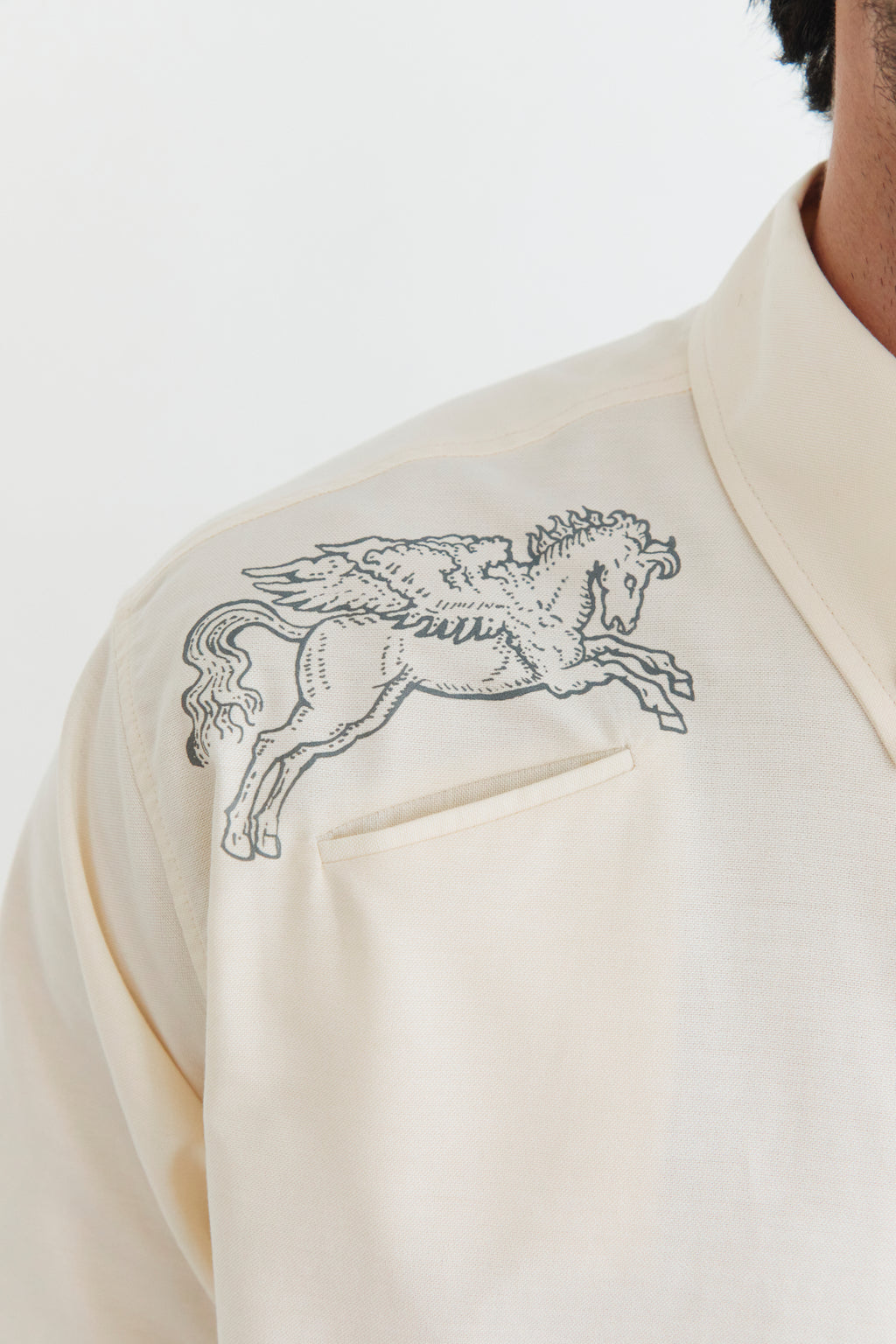 Oxford Button-Down Shirt