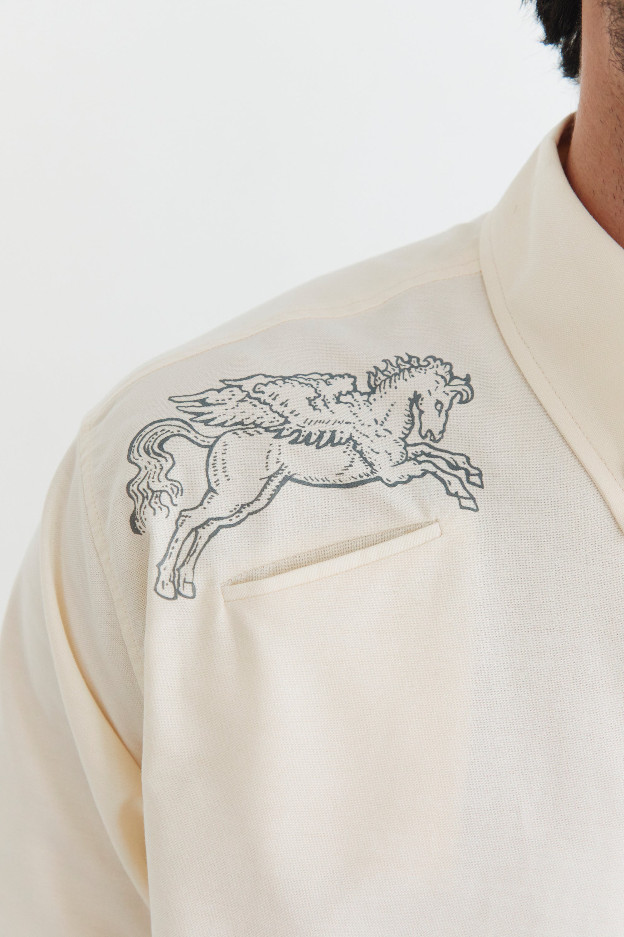 Oxford Button-Down Shirt